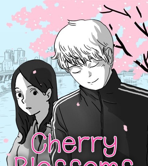 Cherry Blossoms封面
